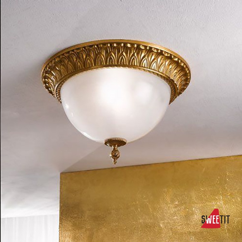 Proff. P. Сканер led kam. Pl телеканал. Pl p.